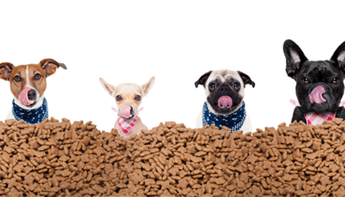 ģʽ(dng)Ј(chng)P(gun)ע a(chn)I(y)l(f)չü