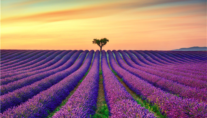 ЙC(j)Ј(chng)l(f)չg M(fi)ռڲ