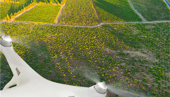 ˎpppЧ |̦؃Ͳ؃Јg_ك|